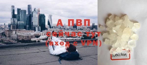 ПСИЛОЦИБИНОВЫЕ ГРИБЫ Бородино