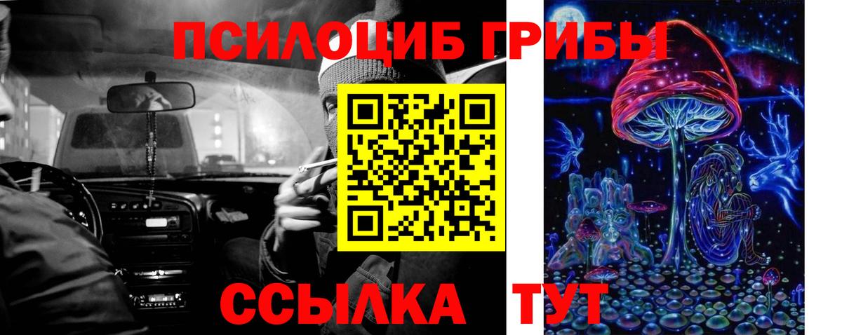 Галлюциногенные грибы Magic Shrooms Домодедово