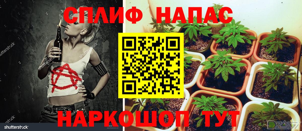 Шишки марихуана тримм  Каннабис Ganja  Домодедово  Вход с VPN  Шишки марихуана семена  Бошки марихуана AK-47 
